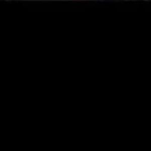 Meet your Posher, Evelyn